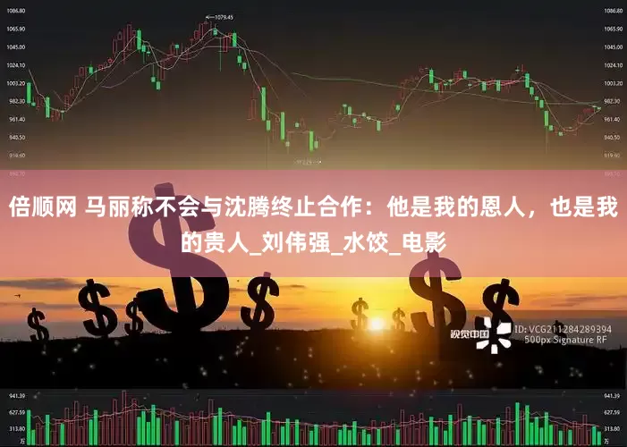 倍顺网 马丽称不会与沈腾终止合作：他是我的恩人，也是我的贵人_刘伟强_水饺_电影