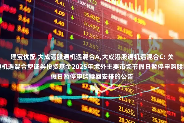 建宝优配 大成港股通机遇混合A,大成港股通机遇混合C: 关于大成港股通机遇混合型证券投资基金2025年境外主要市场节假日暂停申购赎回安排的公告
