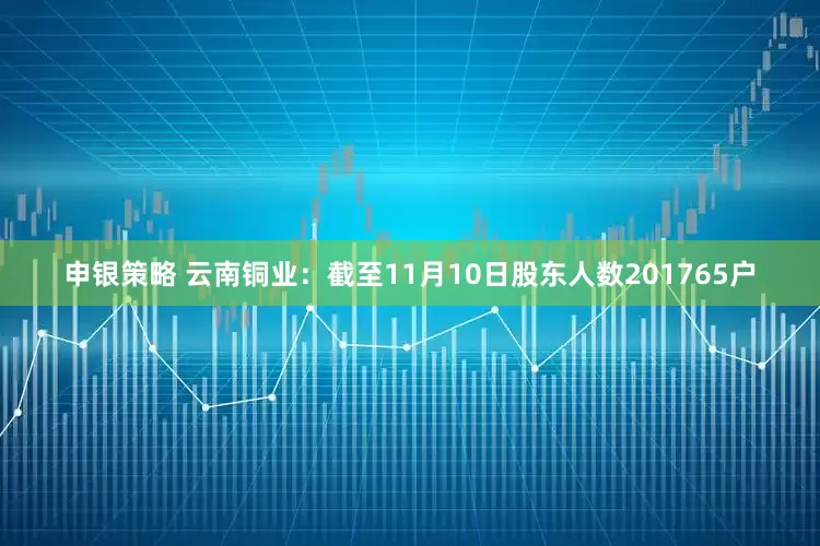 申银策略 云南铜业：截至11月10日股东人数201765户